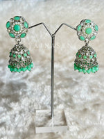 Load image into Gallery viewer, NAVIKA (silver x light green)
