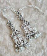 Load image into Gallery viewer, Cage Earrings (Silver)
