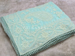 Load image into Gallery viewer, Organza Saree x Chikankari Embroidery x Lace border : Light Blue
