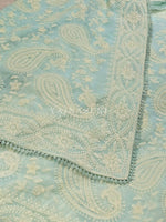 Load image into Gallery viewer, Organza Saree x Chikankari Embroidery x Lace border : Light Blue
