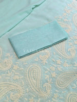 Load image into Gallery viewer, Organza Saree x Chikankari Embroidery x Lace border : Light Blue
