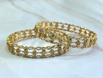 Load image into Gallery viewer, SHRIVANI - pair of bangles
